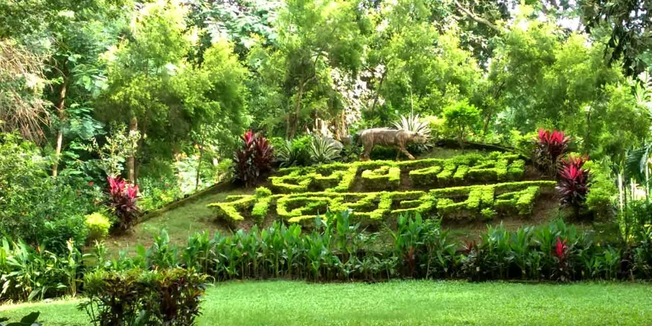 Sanjay Gandhi National Park, Mumbai Tourist Attraction